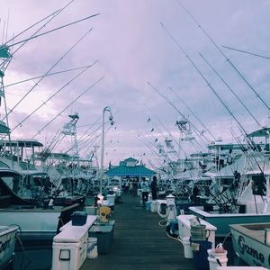 Meet your Posher, Caroline